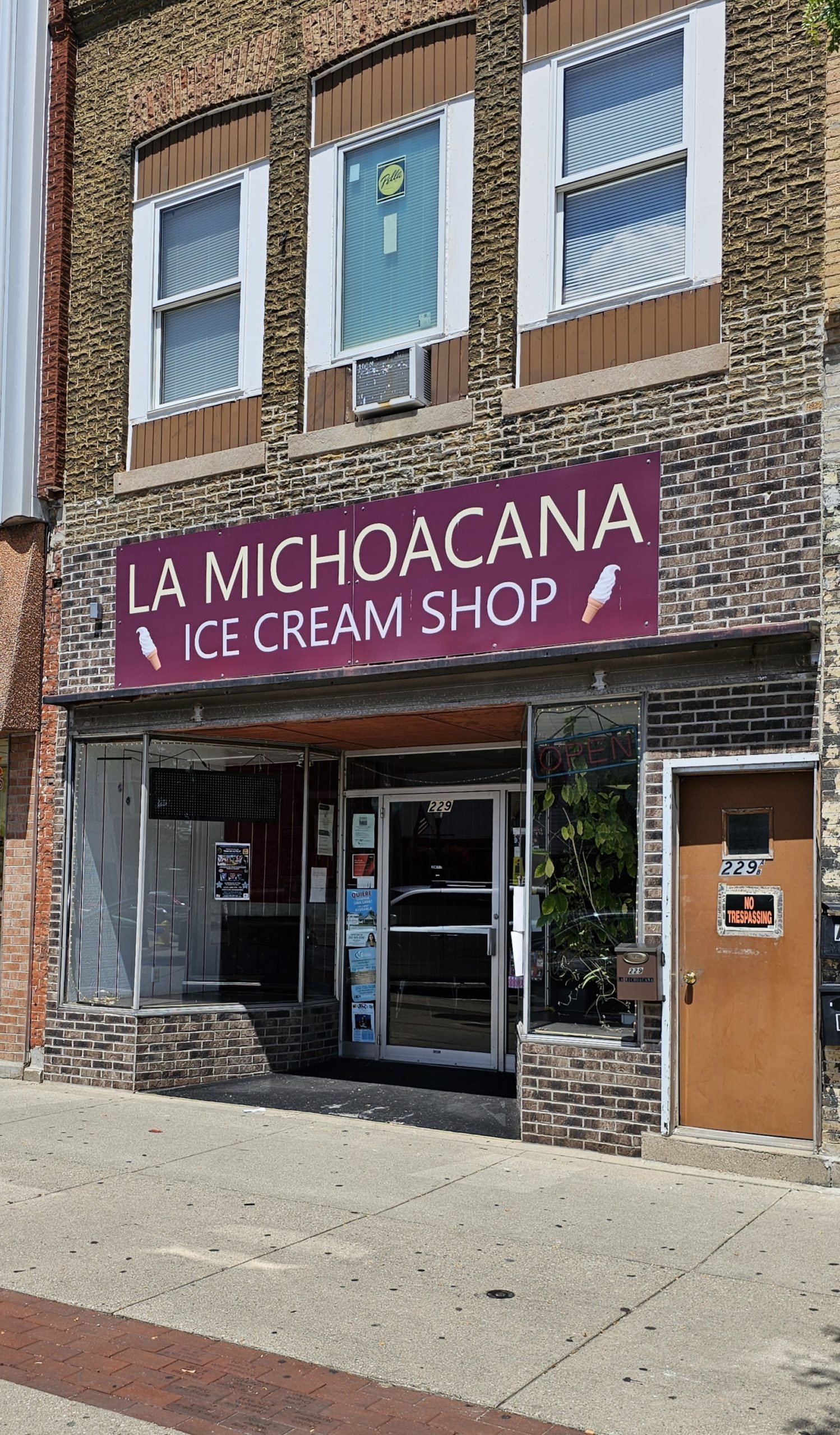 La Michoacana Ice Cream Shop (Delavan, WI) Review